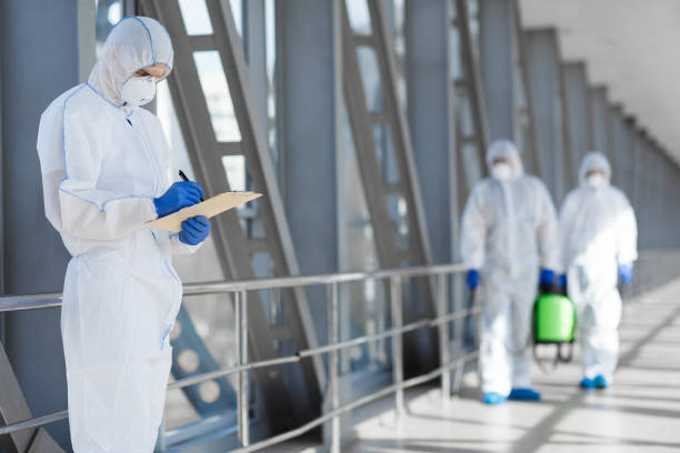 Environmental Consulting for Mold Prevention in Sutter Creek, CA